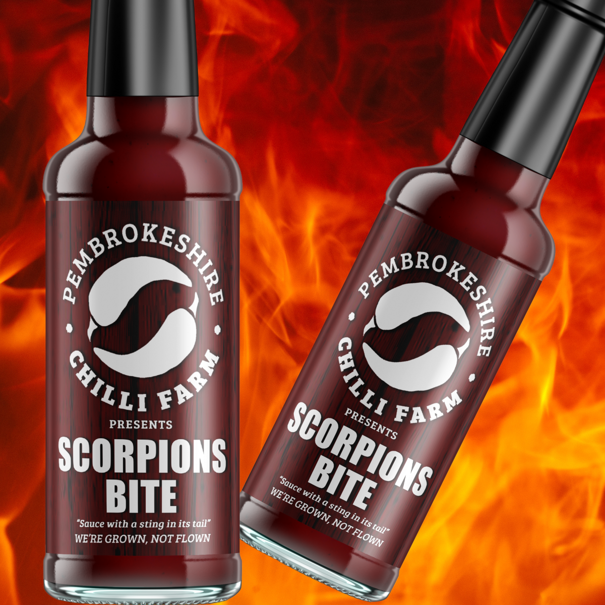 Scorpions Bite