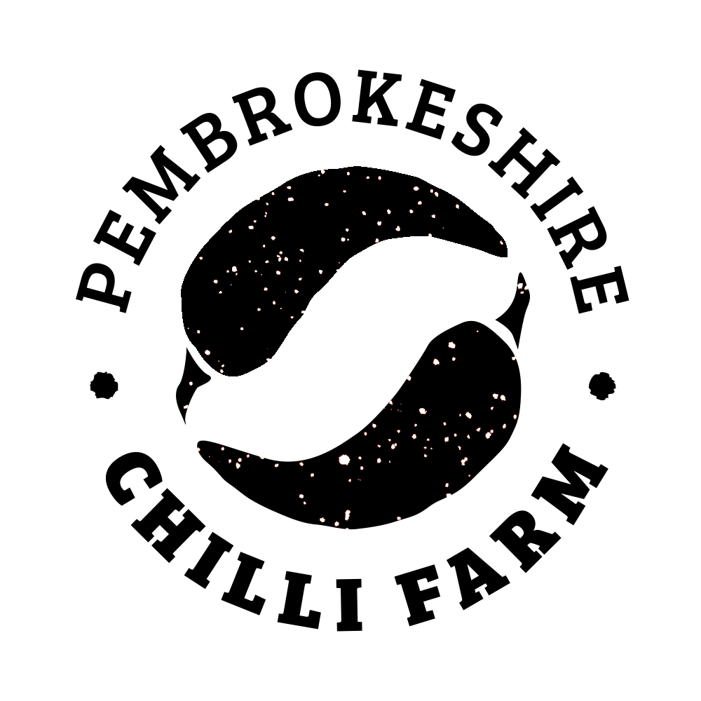 Ginger and Chilli Fudge